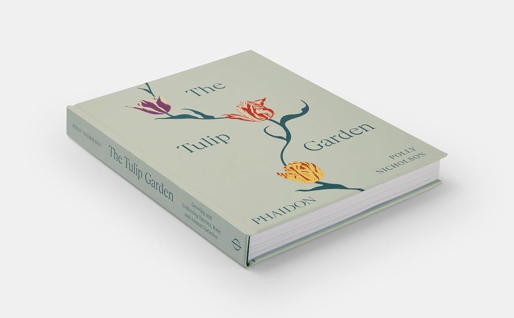 Tulip Garden - Polly Nicholson | Phaidon