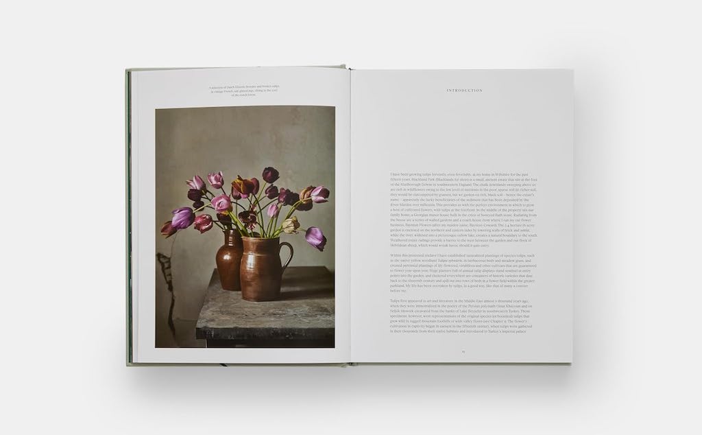 Tulip Garden - Polly Nicholson | Phaidon