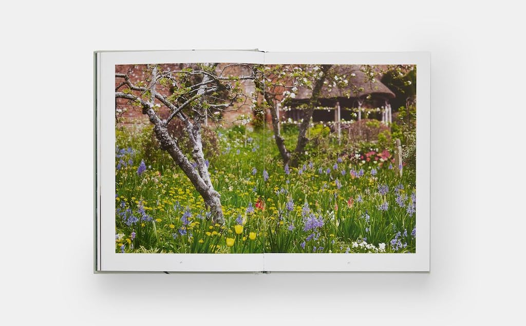 Tulip Garden - Polly Nicholson | Phaidon